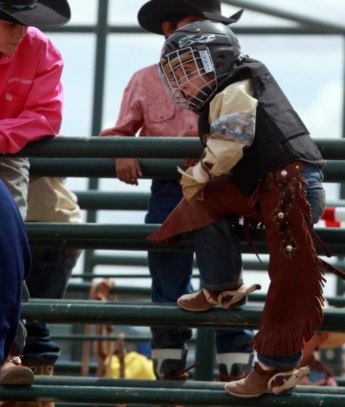 Mini Bull Riding